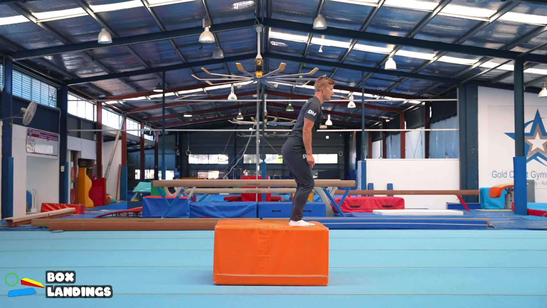 Elementary gymnastics - Misc - 9 box landings
